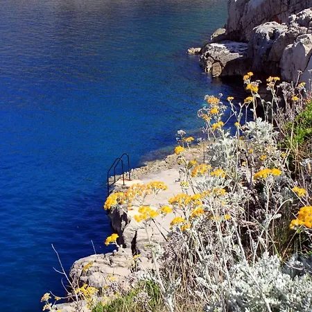 Apartament With Parking Space Veli Losinj, Losinj - 8029 Veli Lošinj