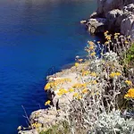 Apartament With Parking Space Veli Losinj, Losinj - 8029 Veli Lošinj