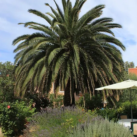 With Parking Space Veli Losinj, Losinj - 8029 Appartement *