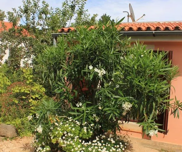 Appartement With Parking Space Veli Losinj, Losinj - 8029 *