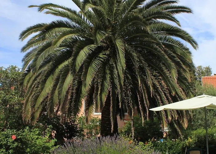 With Parking Space Veli Losinj, Losinj - 8029 Appartement *